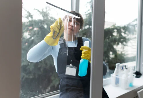Nettoyage de vitres intérieures et extérieures à Ussat